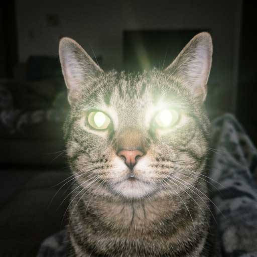 Bad example: camera flash causing eye shine and distorting discharge color