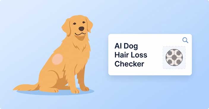 AI Dog Hair Loss Photo Analysis Tool
